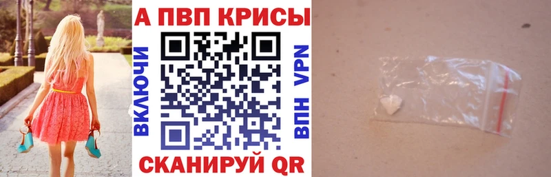 Купить где  Колпашево  A PVP крисы CK 