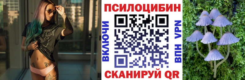 Купить  Колпашево  Псилоцибиновые грибы мухоморы 